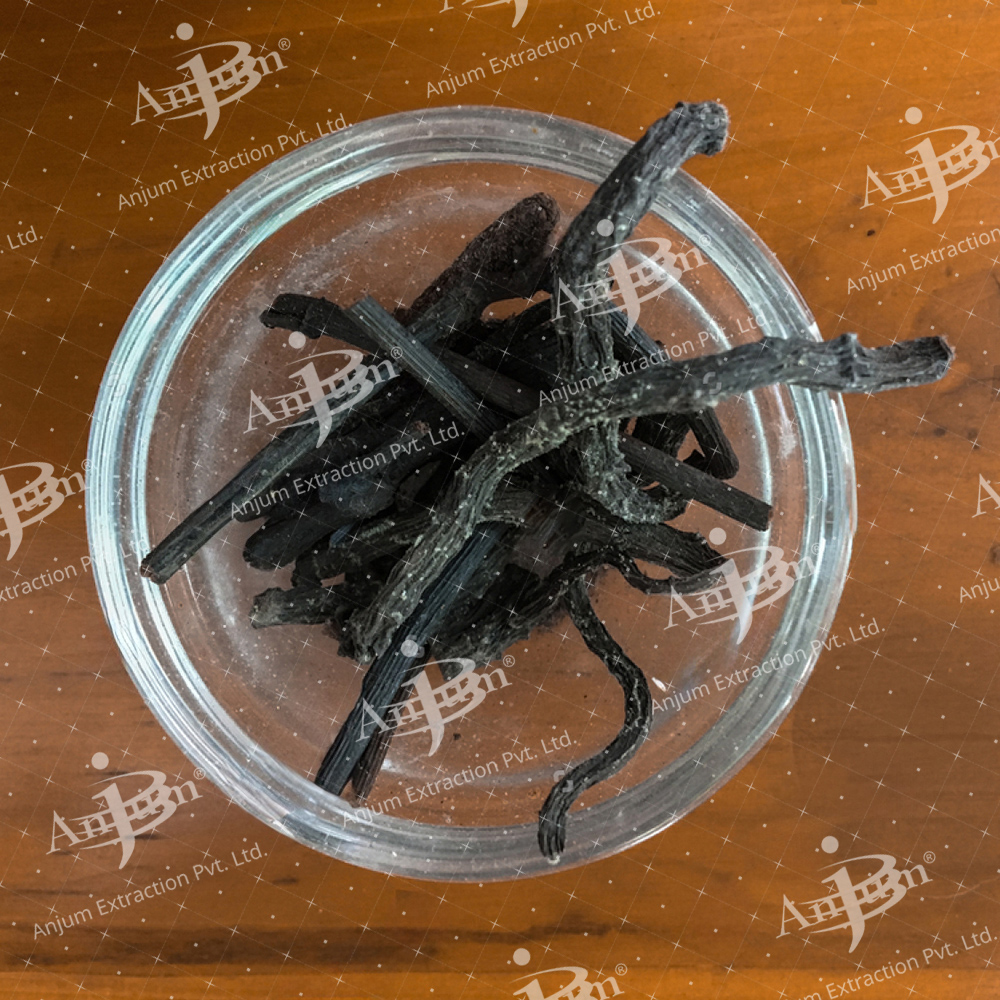 Plumbago indica (Chitrak Mool) Extract