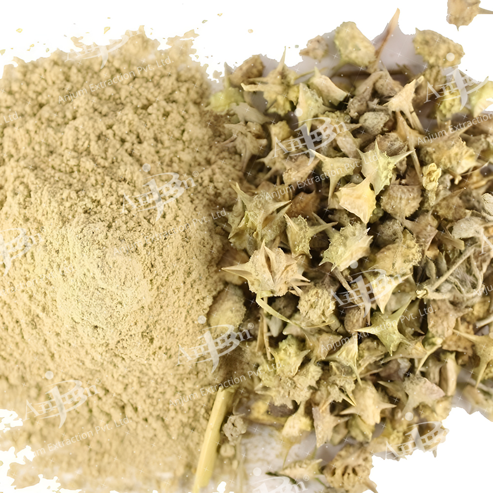 Tribulus Terrestris (gokhru) Extract - Application: Medicine