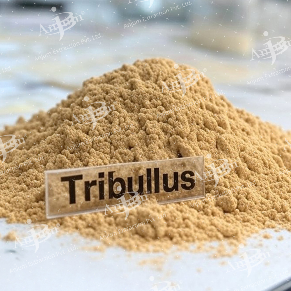 Tribulus Terrestris (Gokhru) Extract - Application: Medicine