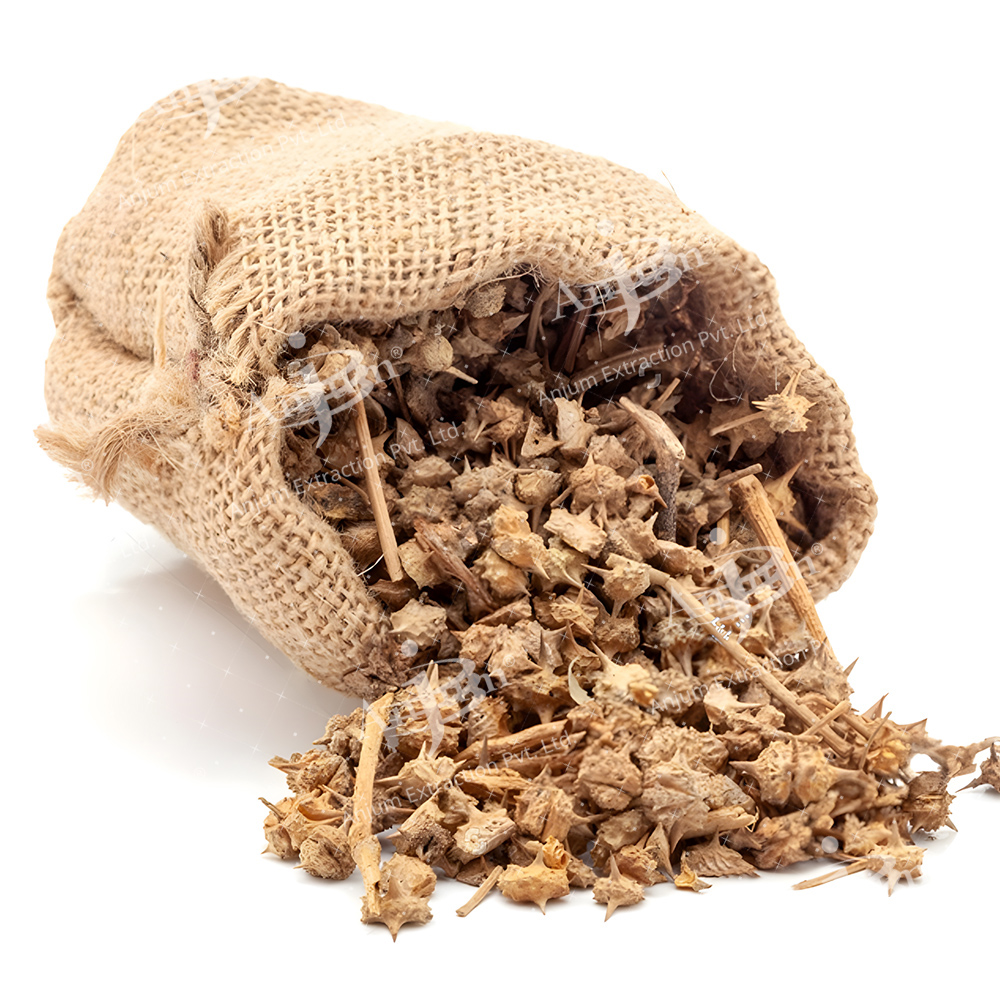 Tribulus terrestris (Gokhru) Extract