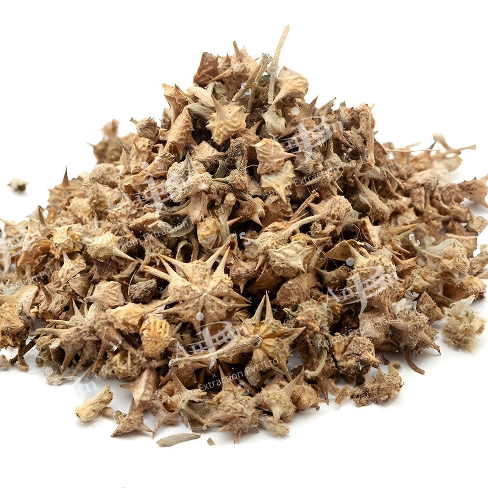 Tribulus Terrestris (Gokhru) Extract - Application: Medicine