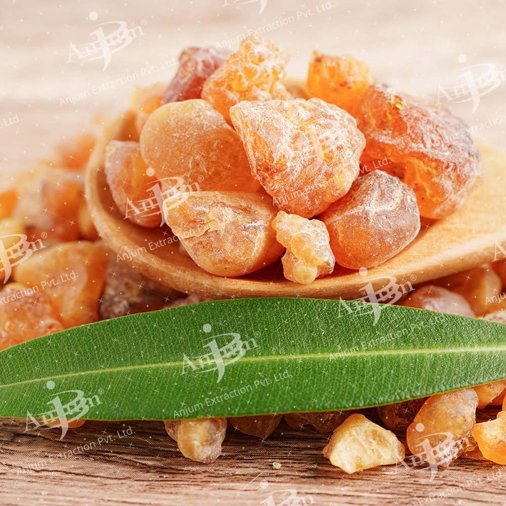 Commiphora Wightii (Guggul) Extract - Application: Medicine