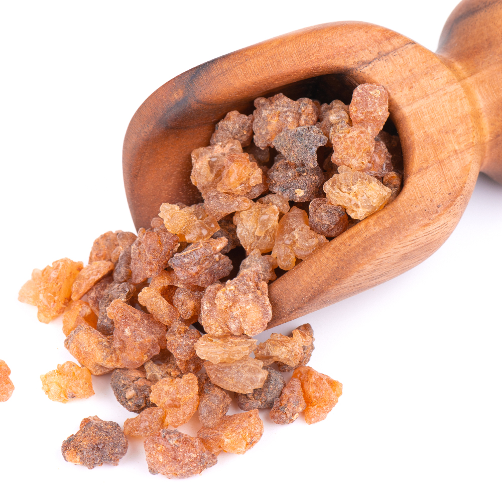 Commiphora Wightii (Guggul) Extract - Application: Medicine