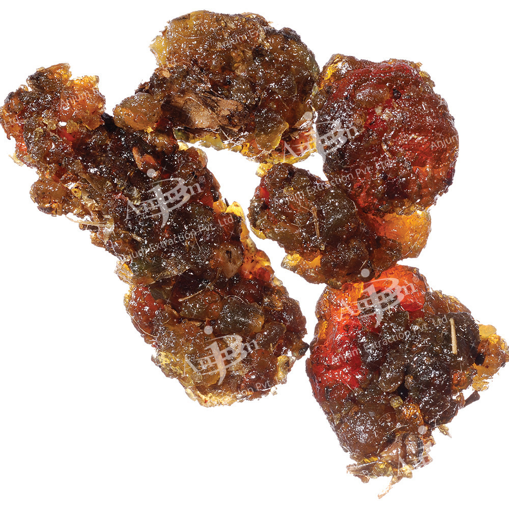 Commiphora Wightii (Guggul) Extract - Application: Medicine