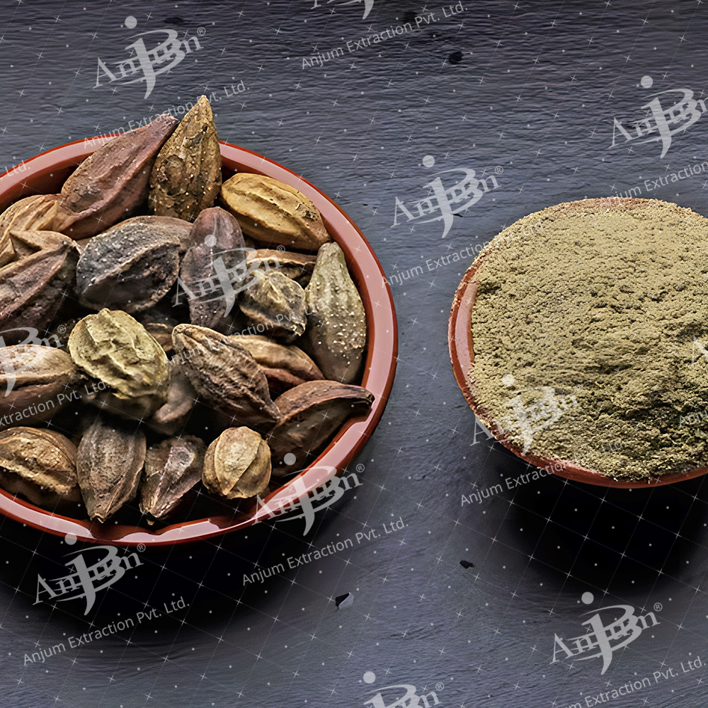 Terminalia Chebula (Harad) Extract - Application: Medicine