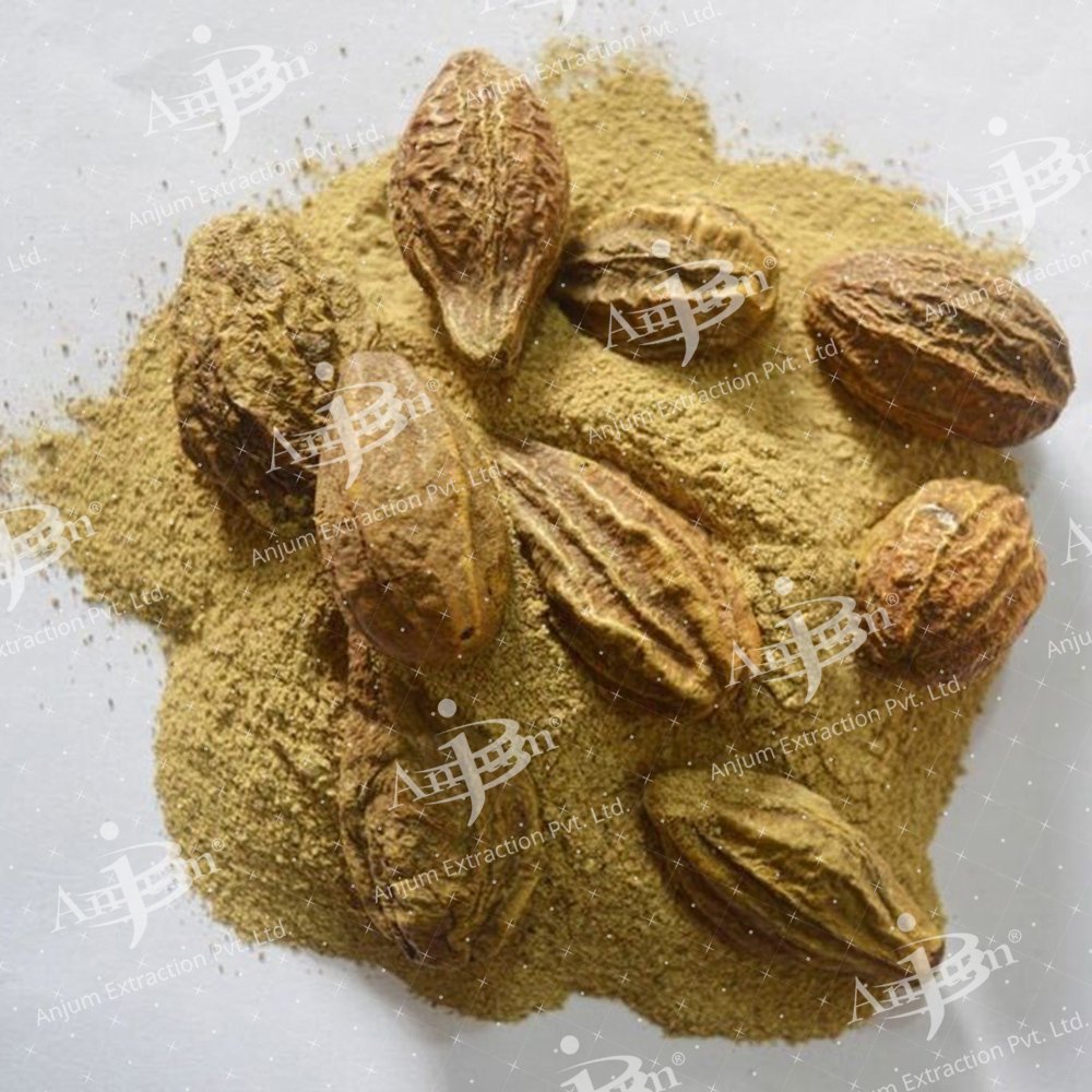 Terminalia Chebula (Harad) Extract - Application: Medicine