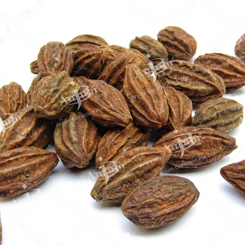 Terminalia Chebula (Harad) Extract - Application: Medicine