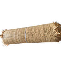 24 Inch Closed Design PVC Rattan Cane