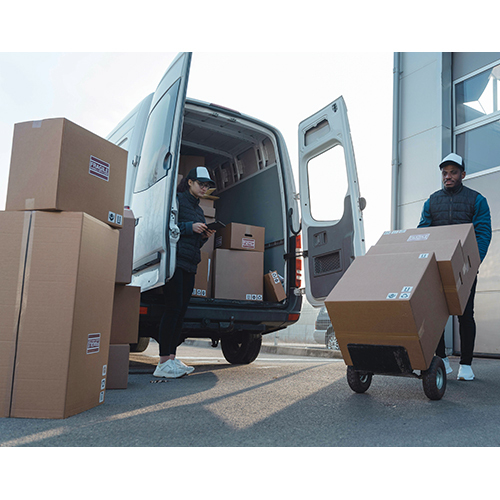 Cargo Packing Tapes - Color: Multicolor