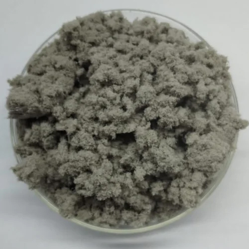 Paper Pulp