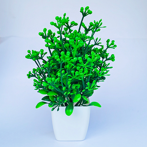 Nimbu Moti DGLG