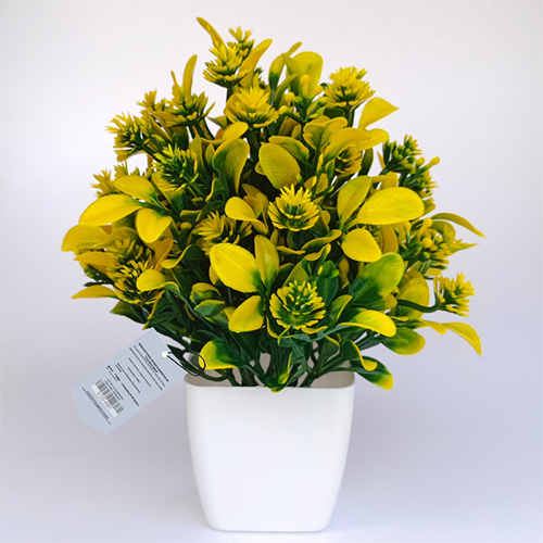 Khushi Flower DGY