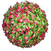 Peepal Artificial Plastic Flower Green Leaves Ball - 20 Cm Diameter, Green, Uv Resistant, Waterproof, Maintenance-free