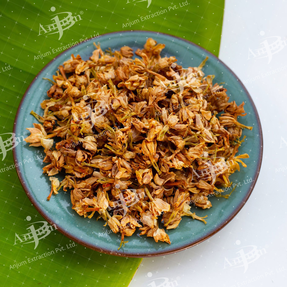 Nyctanthes Arbortristis (Harsinghar) Extract - Application: Medicine