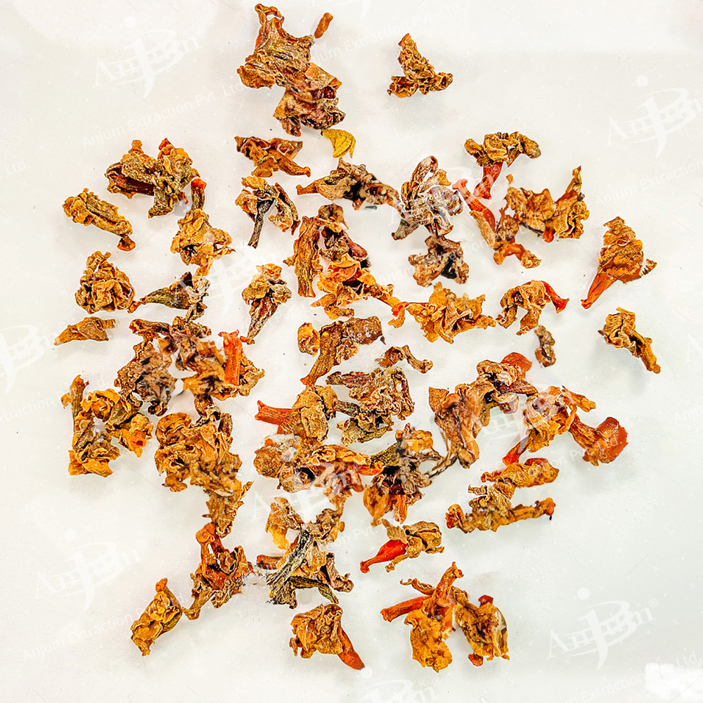 Nyctanthes arbortristis (Harsinghar) Extract