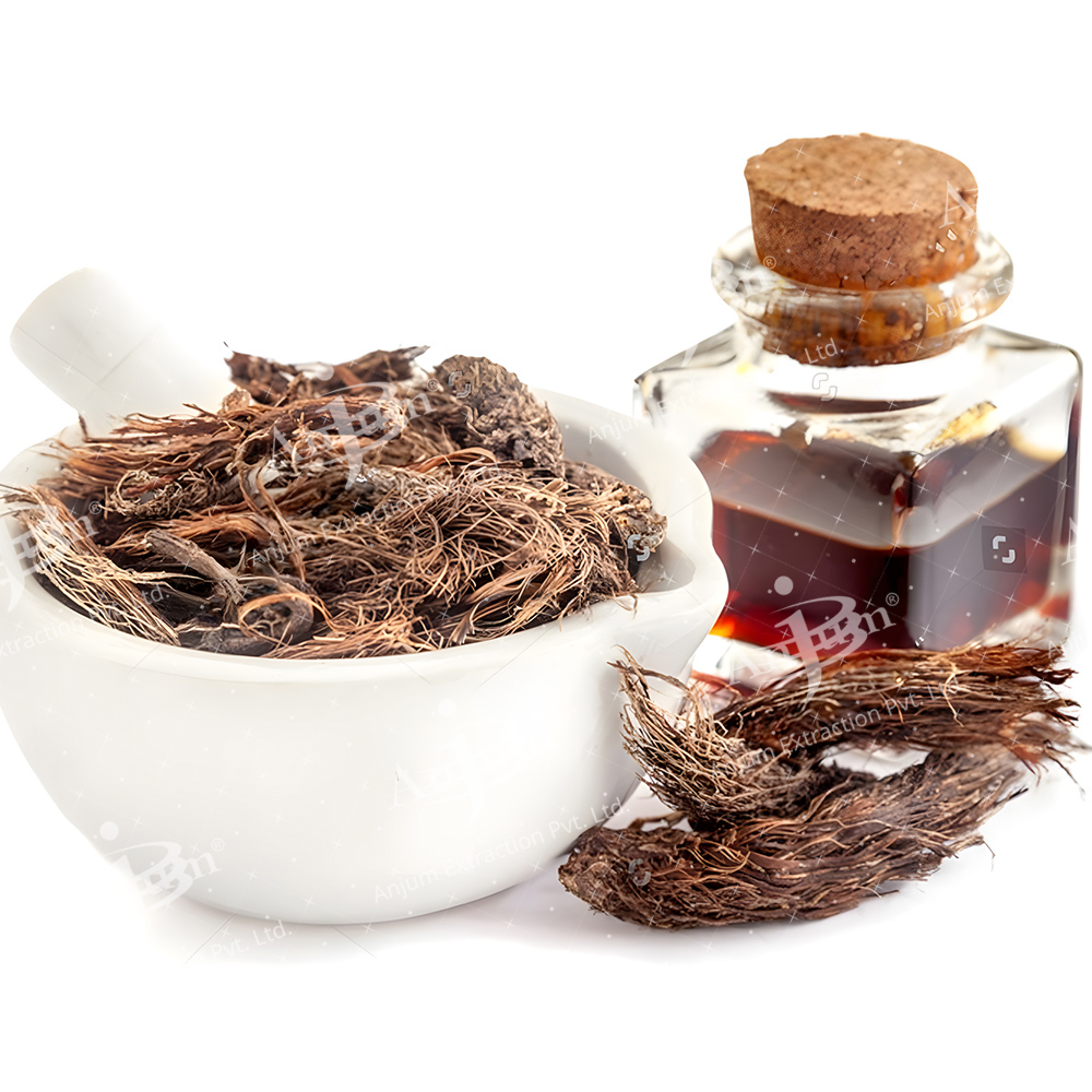 Nardostachys jatamansi (JatamansI) Extract