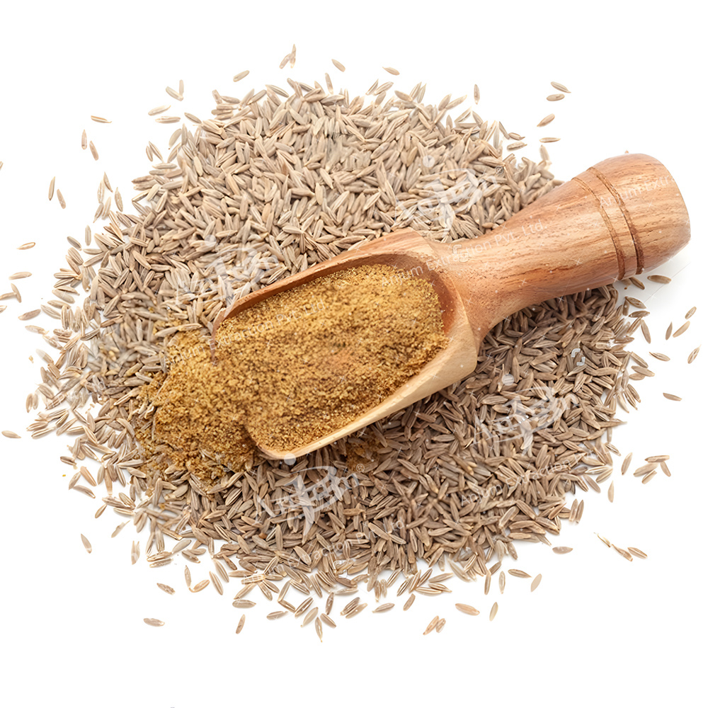 Cuminum Cyminum (Jeera) Extract - Application: Medicine