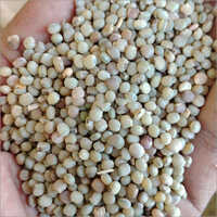 Guar Seeds