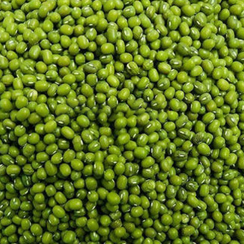 Green Gram - Cultivation Type: Common