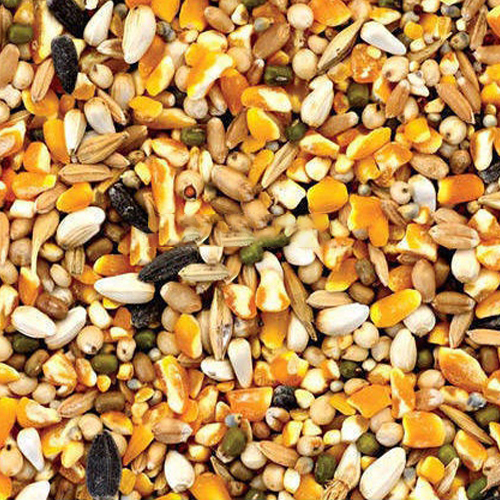 Mixed Grain - Cultivation Type: Common