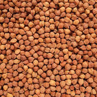 Kala Chana Dal