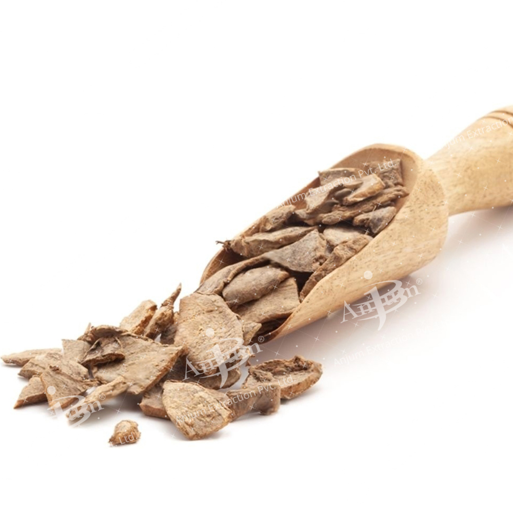 Hedychium Spicatum (Kapoor Kachari) Extract - Application: Medicine
