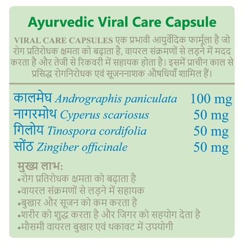 Ayurvedic Viral Care Capsules Immunity & Viral Defense, Private Label & Third Party Manufacturing - Age Group: Suitable For All Ages