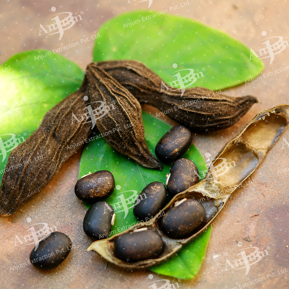 Mucuna pruriens (Kaunch) Extract