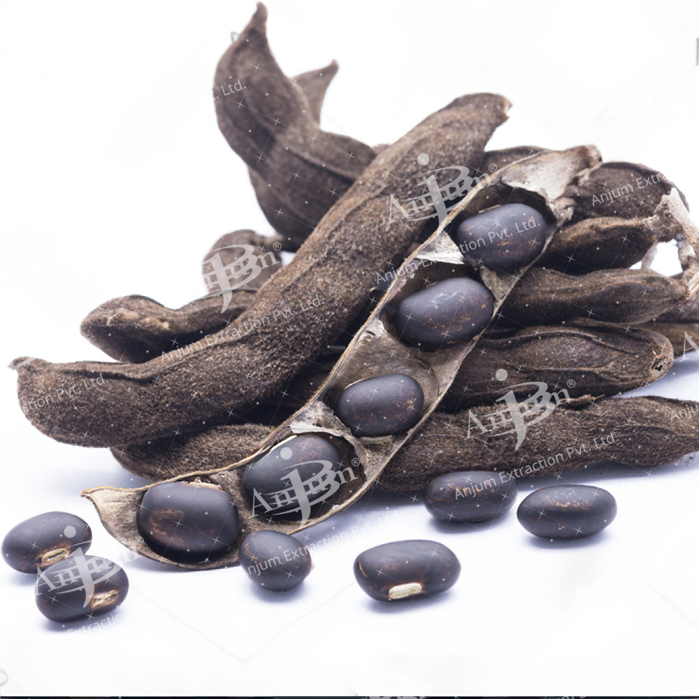 Mucuna pruriens (Kaunch) Extract