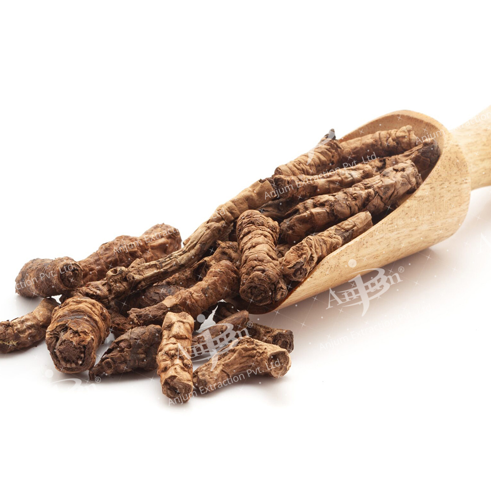 Picrorrhiza Kurroa (Kutki) Extract - Application: Medicine