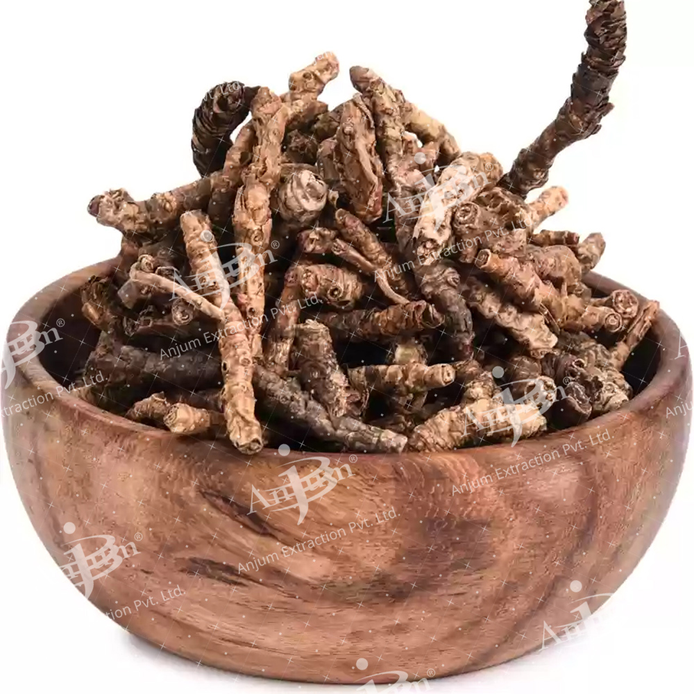 Picrorrhiza kurroa (Kutki) Extract