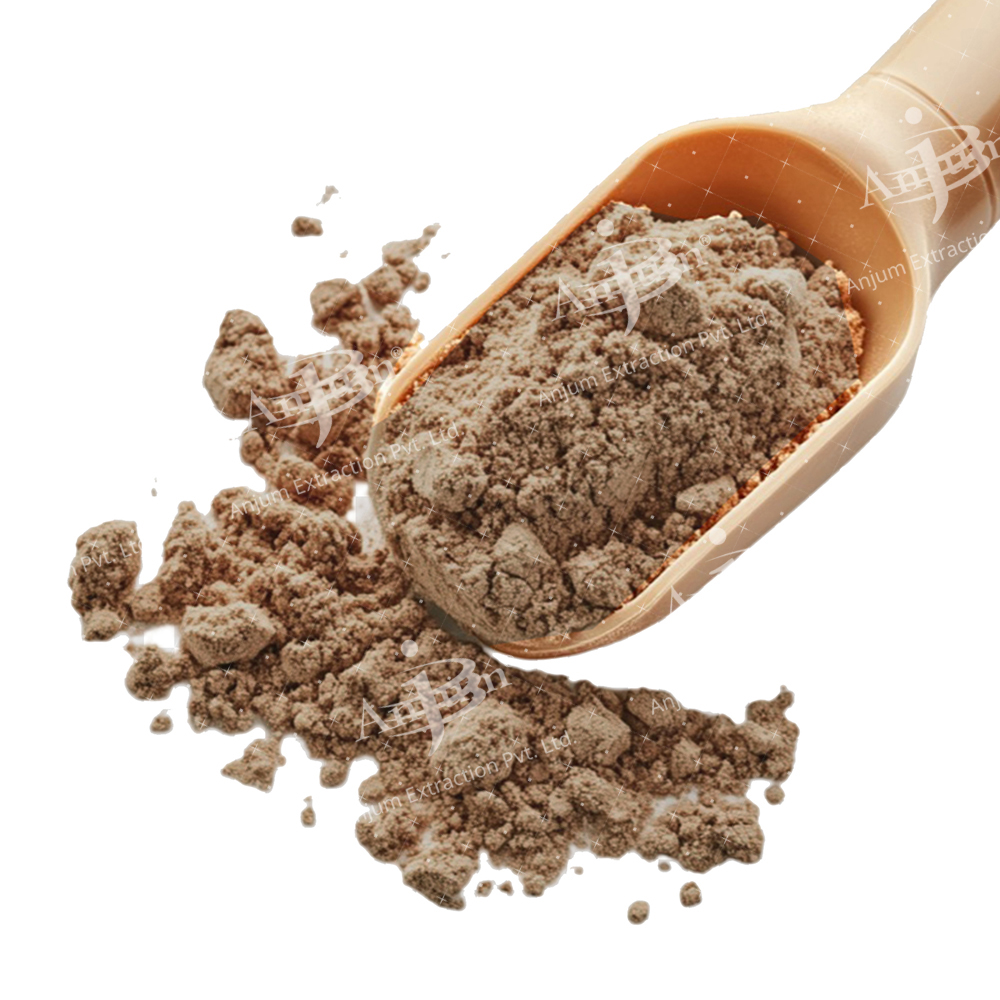 Picrorrhiza kurroa (Kutki) Extract