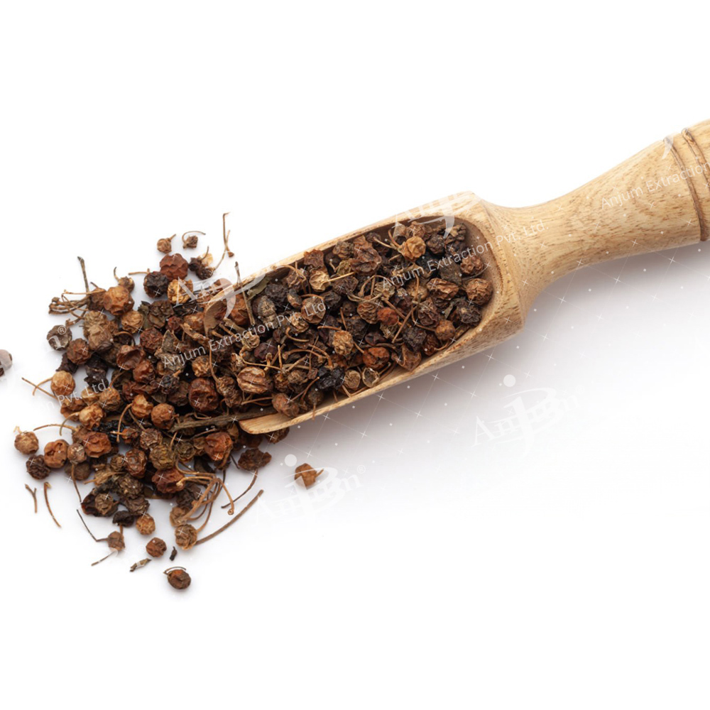 Solanum Nigrum (Makoi Dana) Extract - Application: Medicine