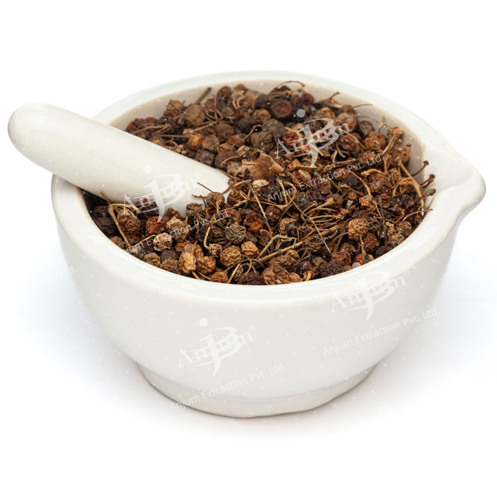 Solanum nigrum (Makoi Dana) Extract