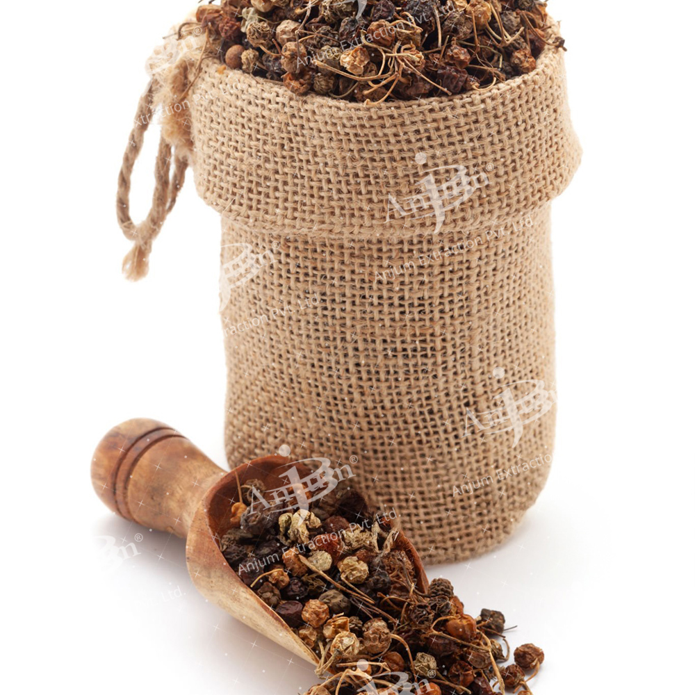 Solanum Nigrum (Makoi Dana) Extract - Application: Medicine