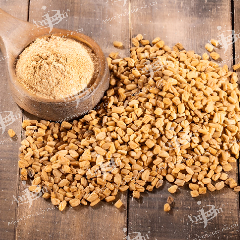 Methi Dana (Trigonella Foenum-graecum) Extract - Application: Medicine