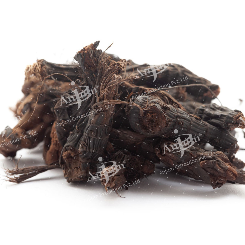 Cyperus Rotundus (Nagarmotha) Extract - Application: Medicine