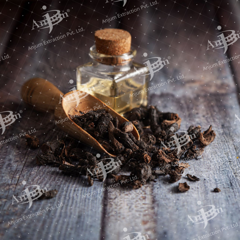 Cyperus Rotundus (Nagarmotha) Extract - Application: Medicine