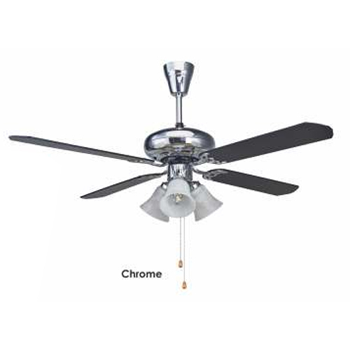 Premium Decorative Ceiling Fans