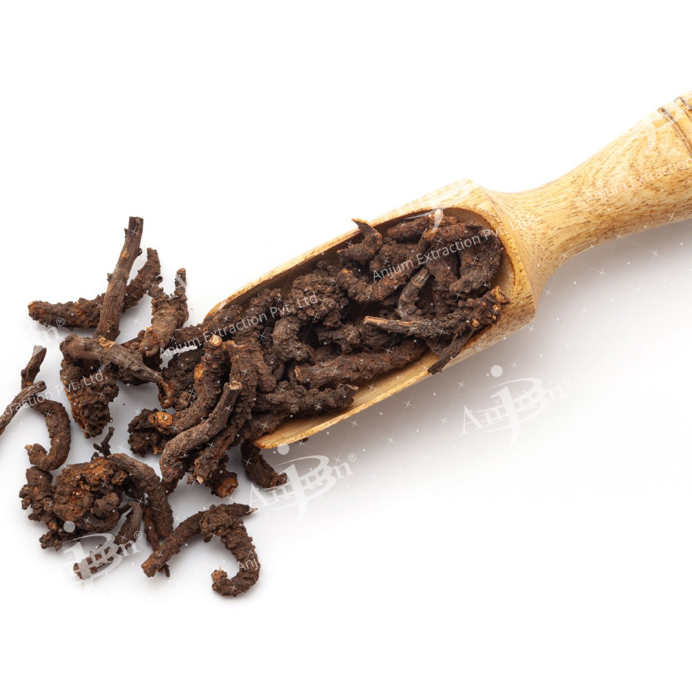 Vitex Negundo Leaf (Nirgundi) Extract - Application: Medicine