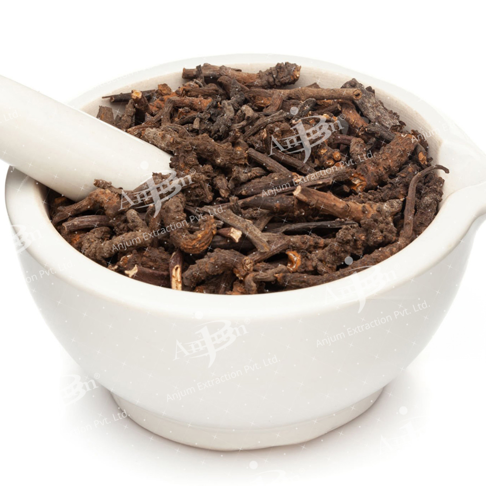 Vitex negundo leaf (Nirgundi) Extract