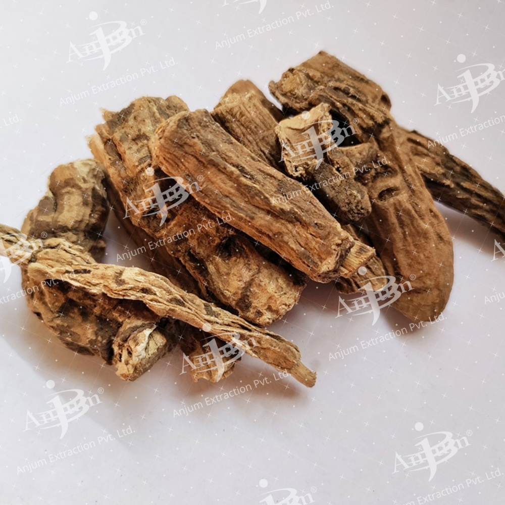 Operculum turpethum (Nisoth) Extract