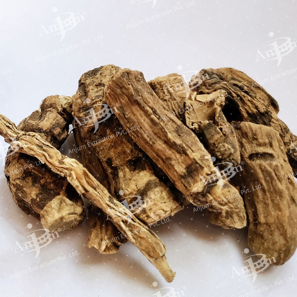 Operculum Turpethum (Nisoth) Extract - Application: Medicine