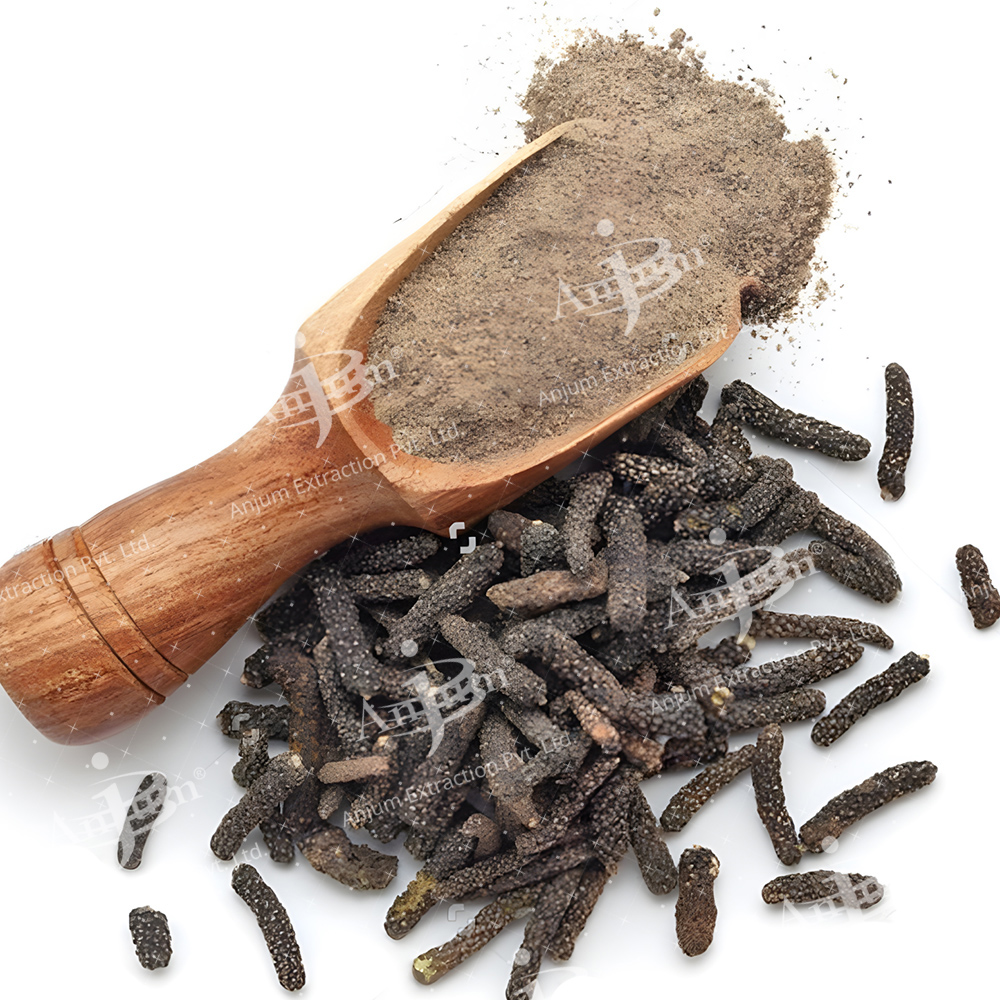 Pipali (Piper Longum) Extract - Application: Medicine