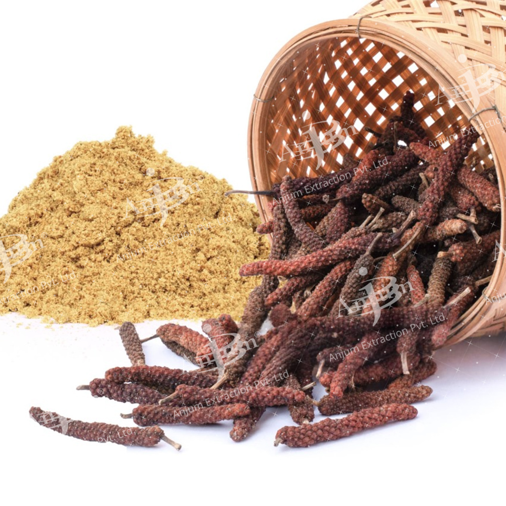 Piper Longum (Pipali) Extract - Application: Medicine