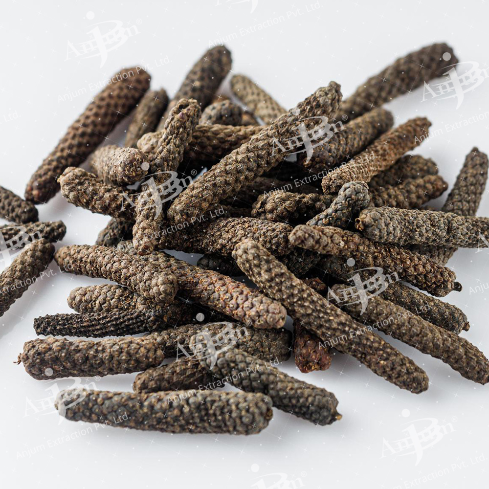 Piper longum (Pipali) Extract