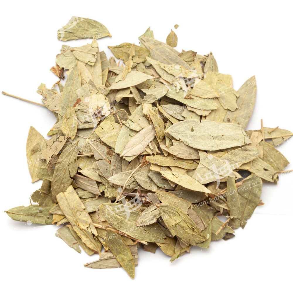 Cassia angustifolia (Senna) Extract