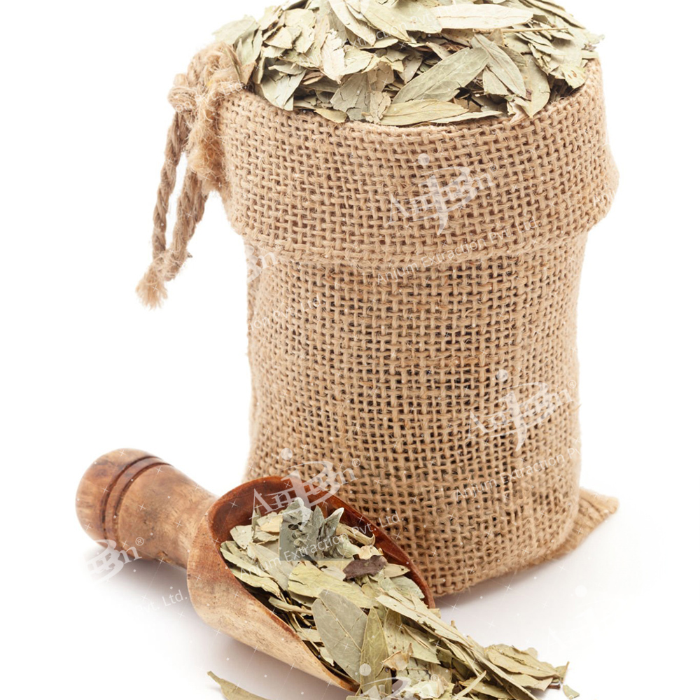 Cassia Angustifolia (Senna) Extract - Application: Medicine