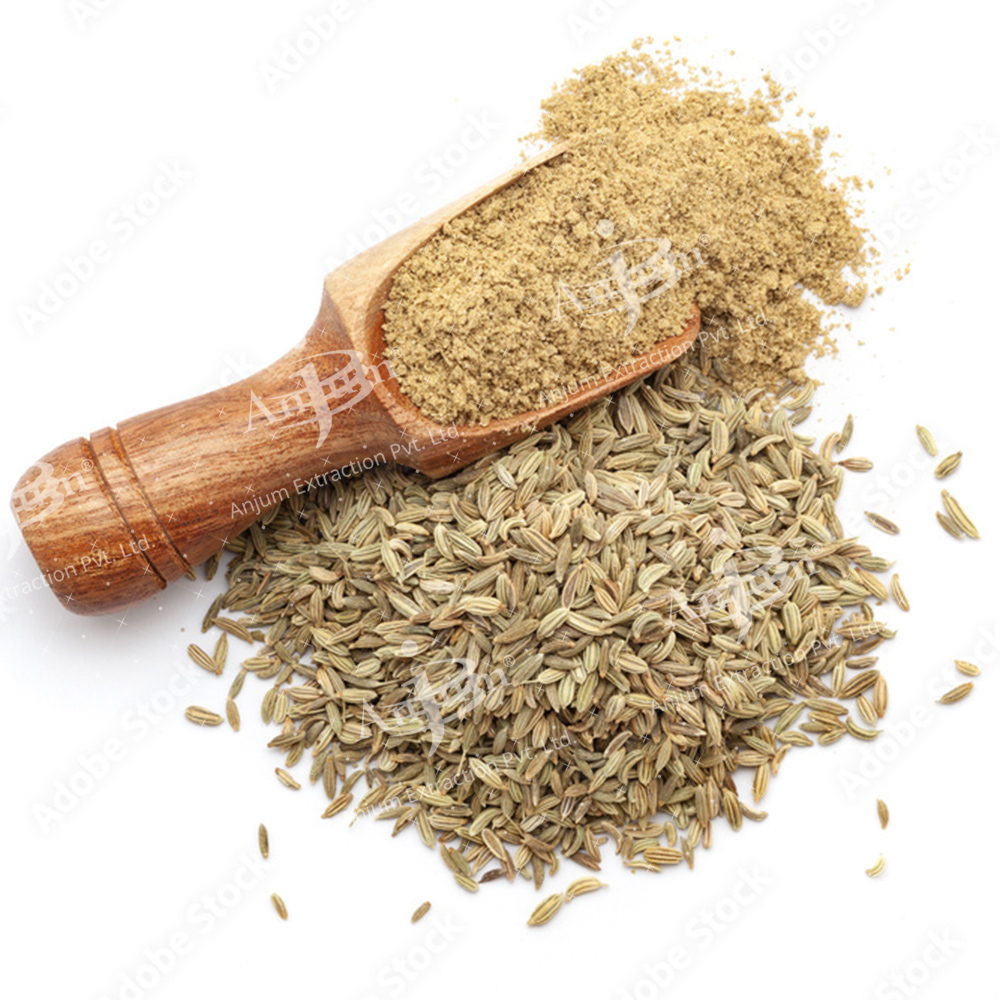 Foeniculum Vulgare (Saunf) Extract - Application: Medicine