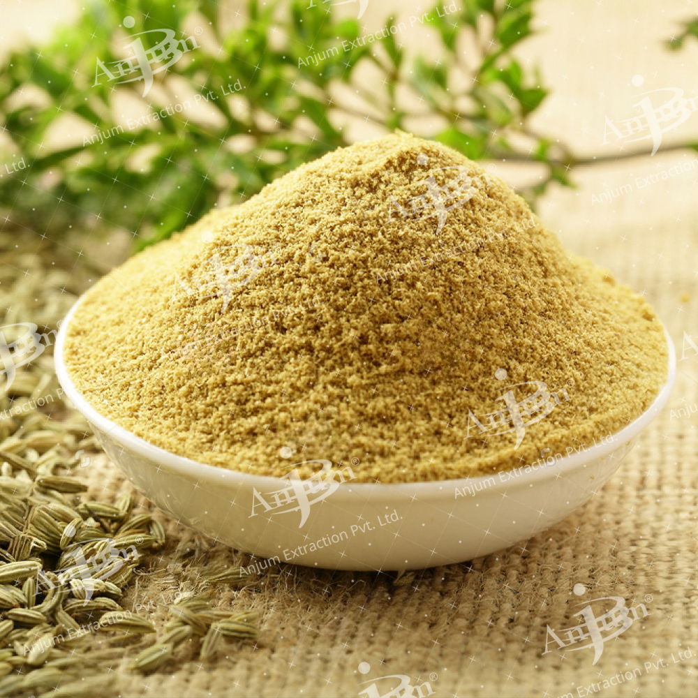 Foeniculum vulgare (Saunf) Extract